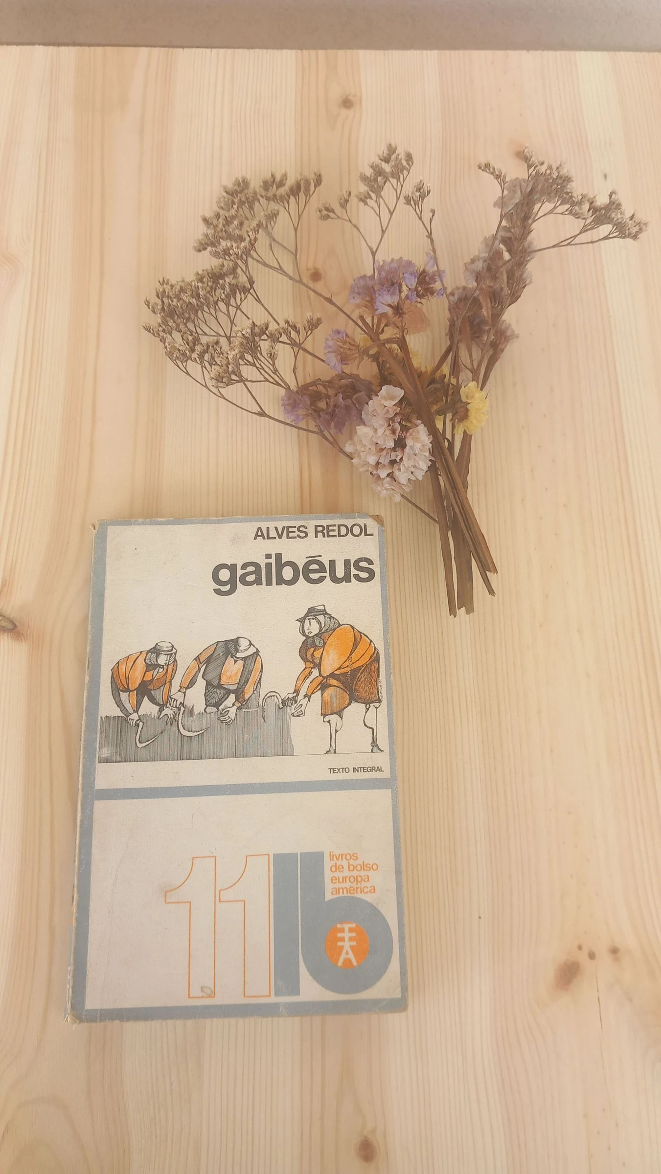 Gaibéus, Alves Redol | Livros de Bolso Europa-América (N.º 116)